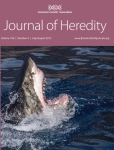 Editor's Choice Free Access