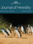 Penguins come together