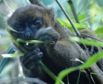 2018 Ecological, Evolutionary and Conservation Genomics (EECG)