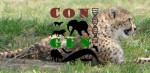 AGA supports ConGen for its 20th year
